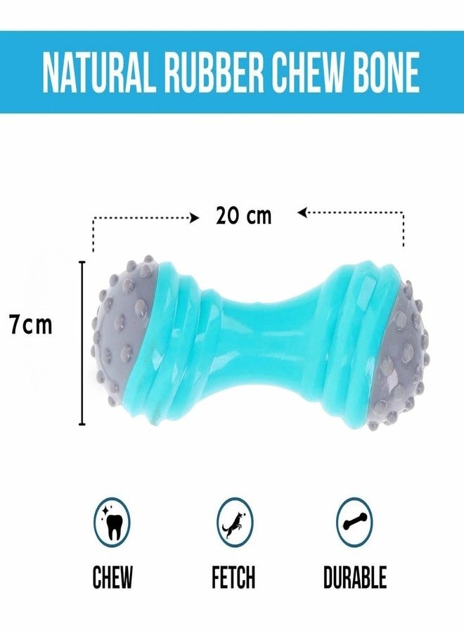 PET FUN لعبة مضغ مطاطية على شكل دمبل للكلاب من بيت فن | غير سامة، متينة، وتصدر صوت صرير مع عصا عائمة مزودة بإضاءة LED للكلاب والجراء | مجموعة ألعاب تدريب وجلب تصدر صوت صرير، قطعتان - Image 4